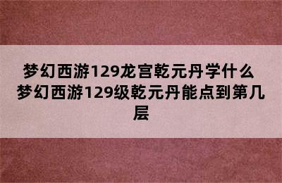 梦幻西游129龙宫乾元丹学什么 梦幻西游129级乾元丹能点到第几层